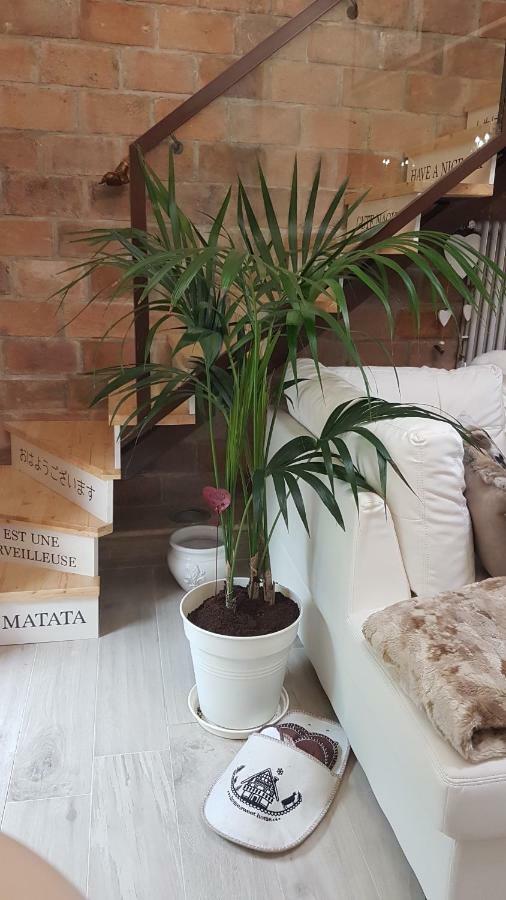 Apartmán Loft Giuly Vignanello Exteriér fotografie
